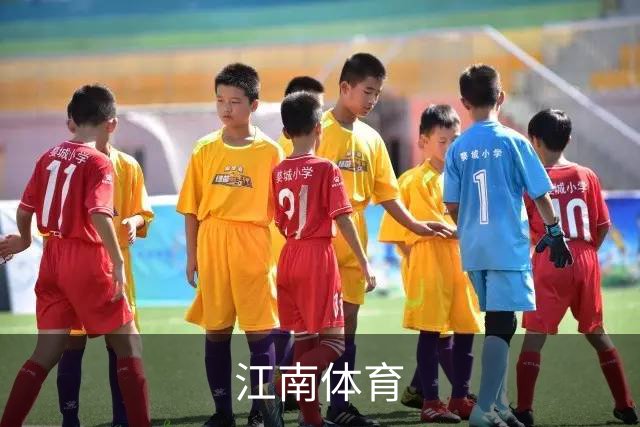 江南体育公司简介配图